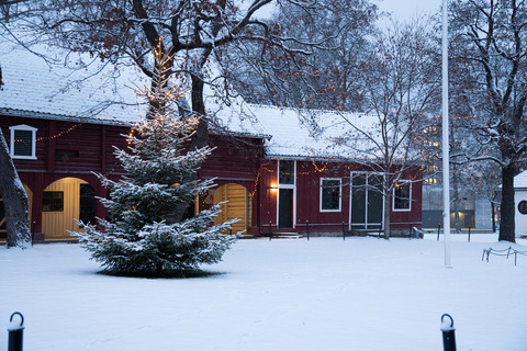 Gjøvik gård snø 7