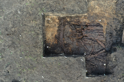 Udgravningssituation. I bunden af udgravningen ses resterne af de 11.000 år gamle planker. Foto, Museum Nordsjælland