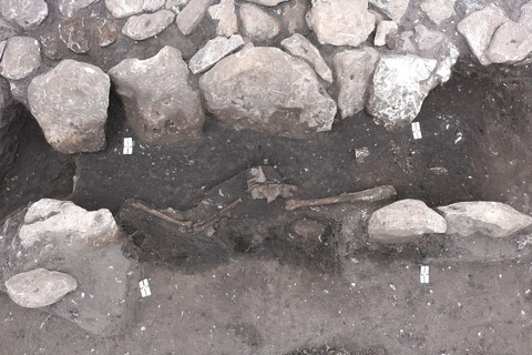 Jordfæstegrav N702 med velbevarede skeletdele. Foto, Museum Thy