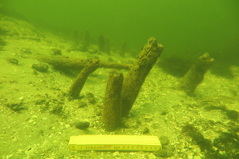 Resterne af pælespærringen som bestod af pæle nedrammet i bunden af Guldborgsund. Kun pælenes nederste dele er bevaret. Foto: Vikingeskibsmuseet.JPG