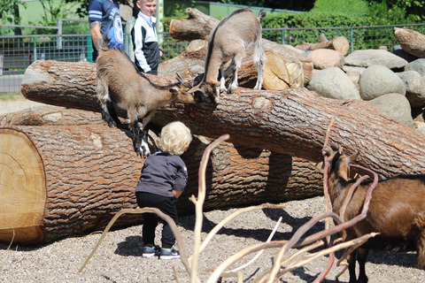 Klappegeder i Aalborg Zoo