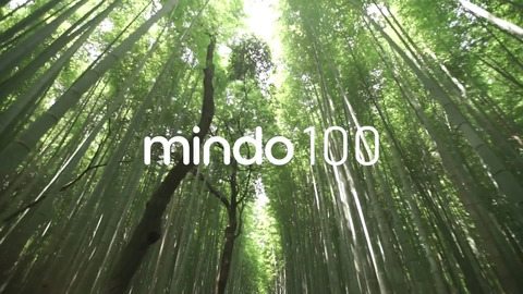 mindo100 video