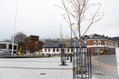Kauffeldts plass mai (6)
