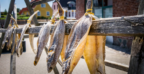 Tørret fisk i Sæby