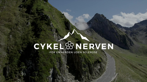 Cykel Nerven v10 med subs