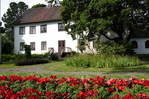 Gjøvik gård sommer (11)