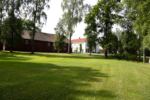Gjøvik gård sommer (30)