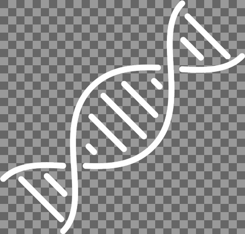 DNA hvid streg