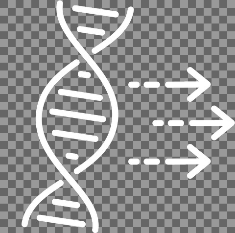 DNA og pile hvid streg