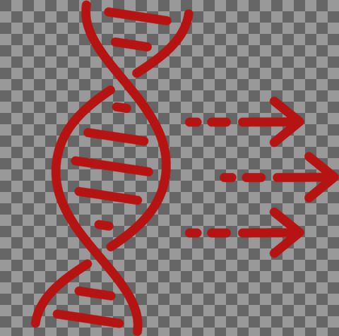DNA og pile rød streg