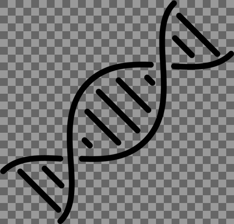 DNA sort streg