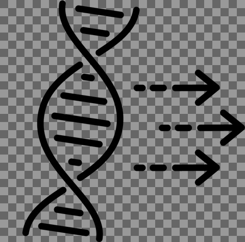 DNA og pile sort streg
