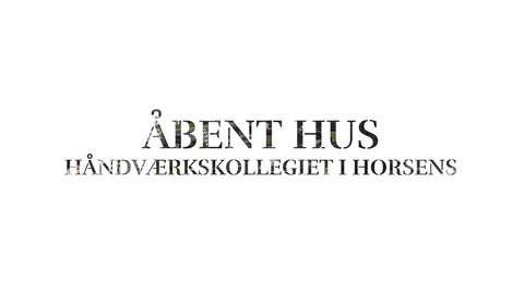 Horsens Aabent Hus Interviews FFHK 02