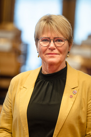 Vice President of the Nordic Council