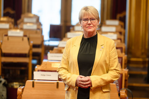 Vice President of the Nordic Council