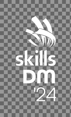 SkillsDM24   logo   RGB   Version 02   negative