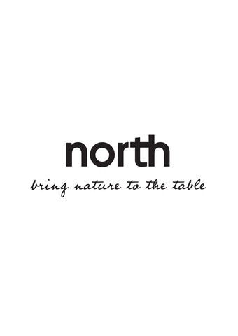 North_logo_payoff