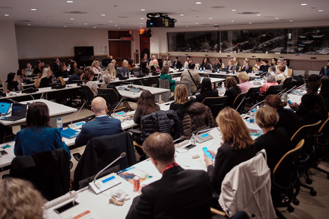 Nordic Expert Panel at CSW68 - 2024