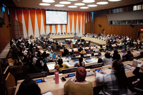 CSW68 - The Nordic Approach to Gender Equality and Women's Economic Freedom at UN Summit